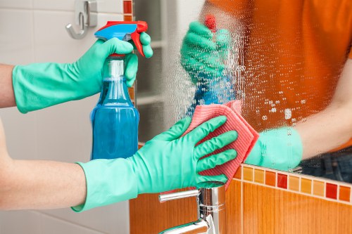 Local gutter cleaning service in Clapham for residential and commercial properties