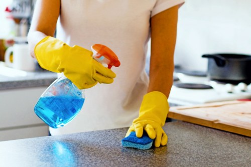 Carpetcleaning Clapham team using sustainable recycling practices