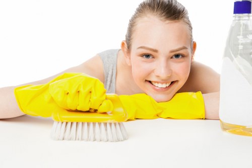 Exterior property care and gutter clearing near Clapham Common