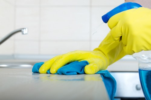Professional hot water extraction carpet cleaning equipment in Clapham